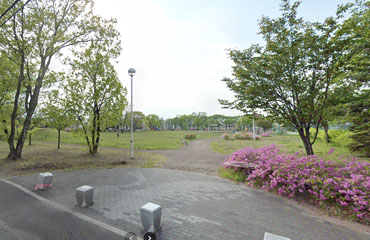 白鳥公園